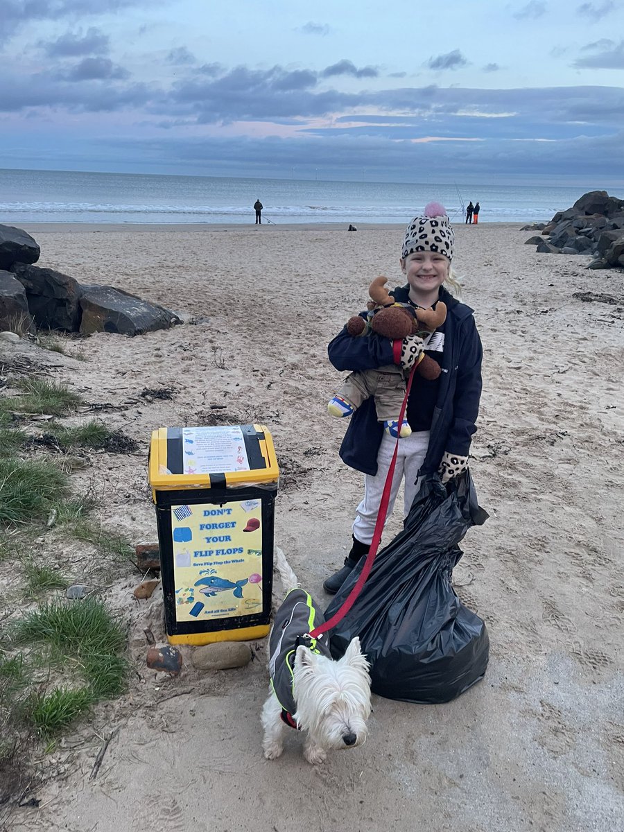 waddells74's tweet photo. My bin all full at #charltons end #cambois I always check the grasslands too….all clear for 🐋 🐬 🐦 🐠 🐶 🐙 🦞  🙏  to everyone using my bins 💕 yeah! @NlandTogether @PrideOfBritain @mcsuk @Stevewal63 @des_farrand @LittleJohn_MD @stephenlloyd192 @Leonlovescats @JasperManUtd https://t.co/OJ68t3C1rE