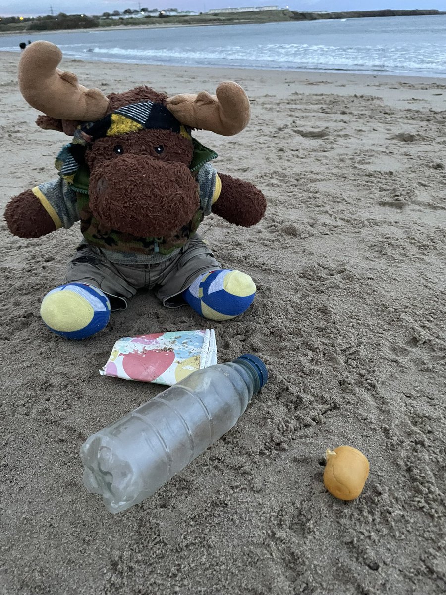 waddells74's tweet photo. My bin all full at #charltons end #cambois I always check the grasslands too….all clear for 🐋 🐬 🐦 🐠 🐶 🐙 🦞  🙏  to everyone using my bins 💕 yeah! @NlandTogether @PrideOfBritain @mcsuk @Stevewal63 @des_farrand @LittleJohn_MD @stephenlloyd192 @Leonlovescats @JasperManUtd https://t.co/OJ68t3C1rE