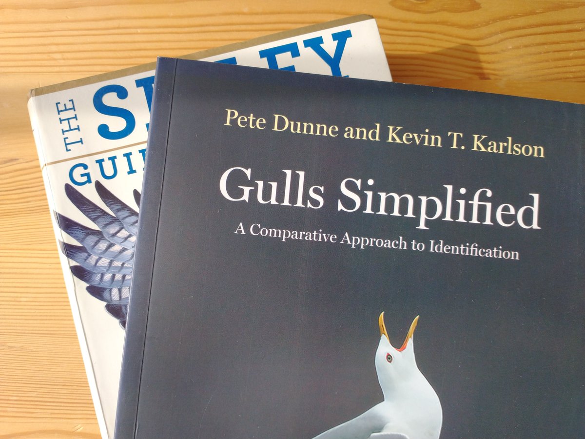 TheIneptBirder's tweet photo. Studying up for a Lake Erie pelagic trip on Saturday! (vaxxed, masked, on an open-air boat (my first thing in 20 months!))
People keep saying there’s more than one kind of gull. We’ll see. #BSBO #PUPintheWild #Cleveland https://t.co/1JZZa5iYAL