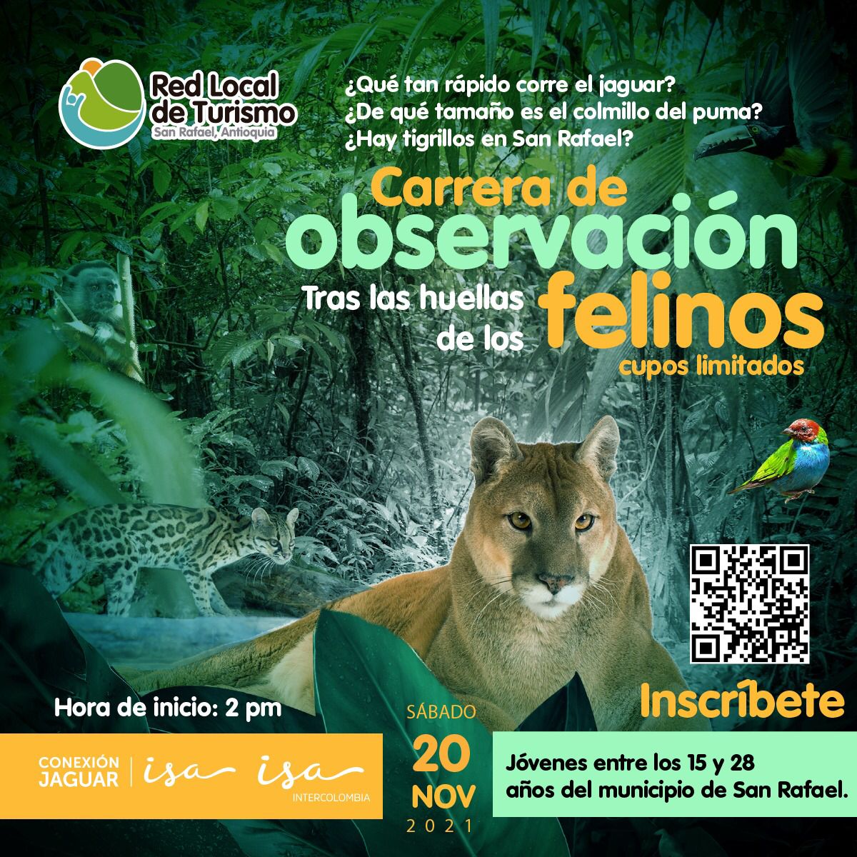 toursanrafael's tweet photo. En noviembre celebramos el Mes de los Felinos 🐅🐆 y desde la Red Local de Turismo de San Rafael, con el patrocinio de @ISAConexiones, te invitamos a ir tras sus huellas 🐾 ¡Inscríbete ya y participa!
👉🏽https://t.co/x1RxMeIjkp https://t.co/9UdjYpkfDY