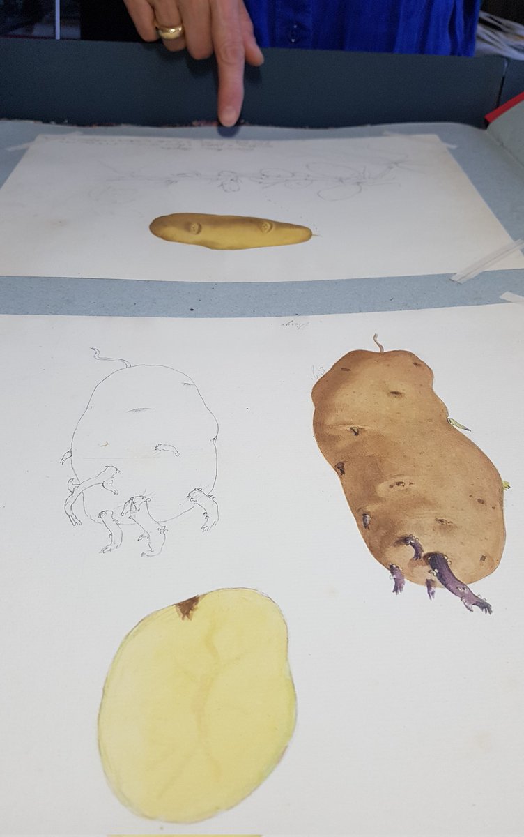 Herbier UCBLyon1 tweet media