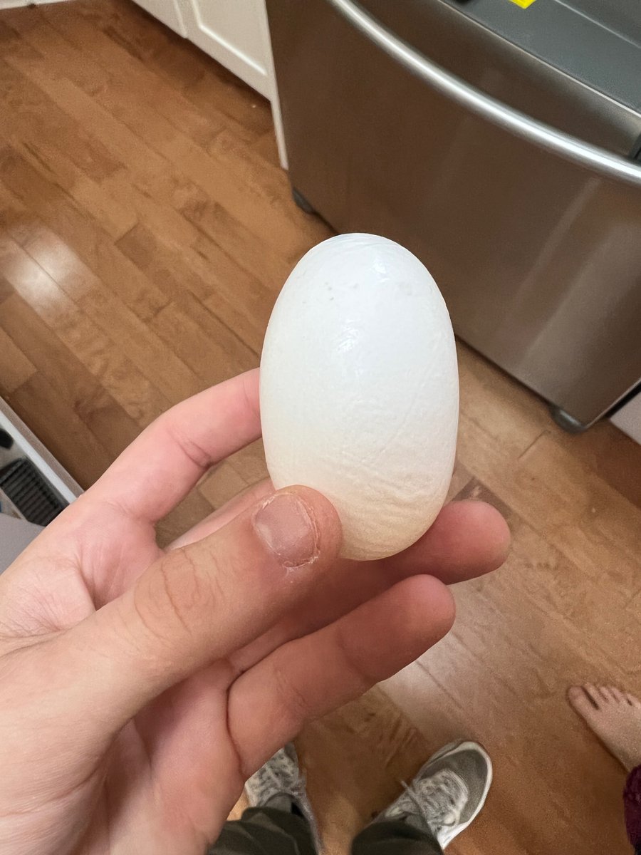 LanstonO's tweet photo. Respectfully, I present you Tall Egg https://t.co/oiSEL1O4Rv