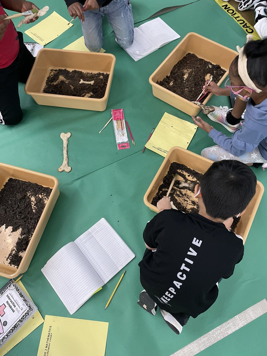 Anabel Messer tweet media