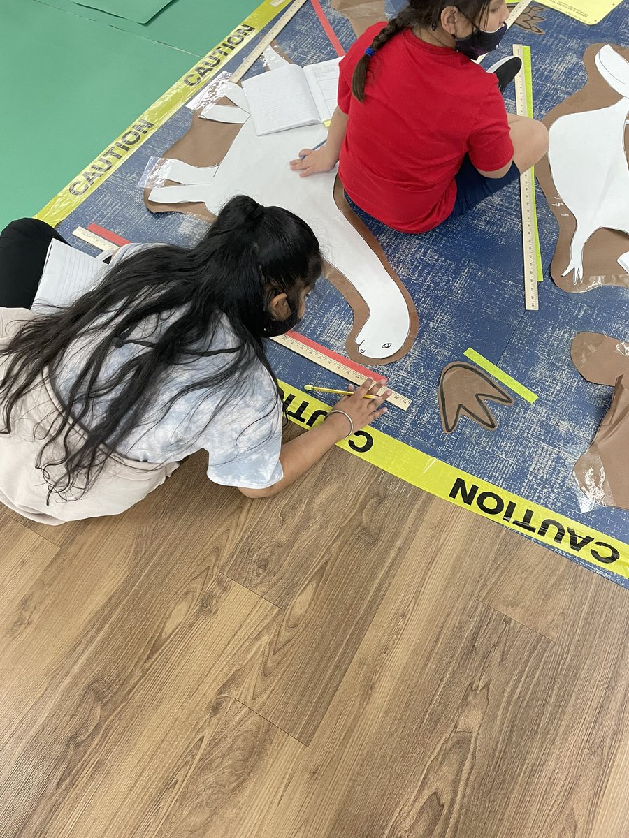 Anabel Messer tweet media