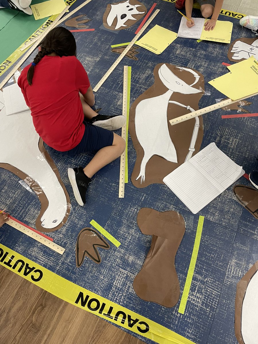 Anabel Messer tweet media