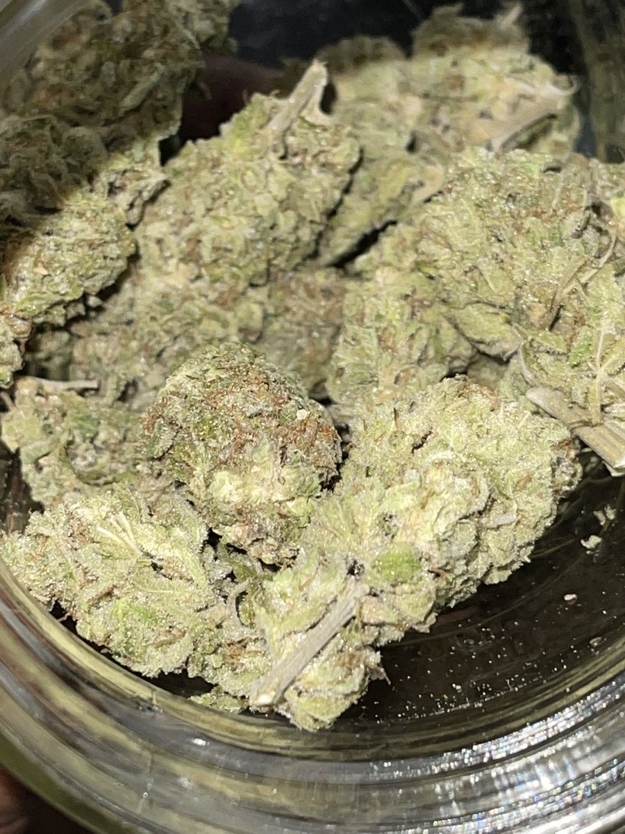 Growwiththebro's tweet photo. I really suck at trimming 😂😂 couple nugs from the LA Cookies. https://t.co/ZexPxgCPVw