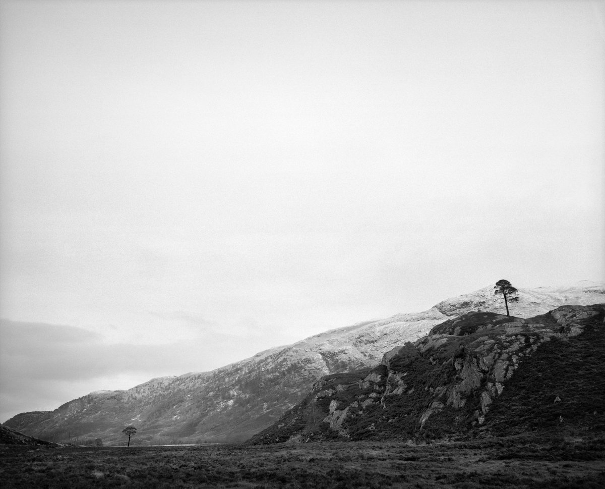 Anchorage Museum tweet media