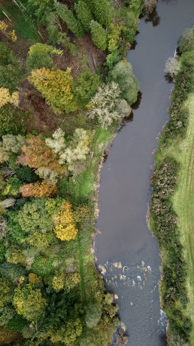 Can you spot👀 our humble fishing hut? Tricky as it has a turf roof! Great Grayling fishing at the moment call us on 07974 416692