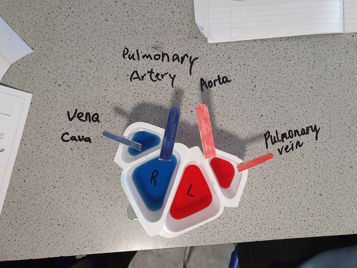 Miss Macpherson 👩🏼🏫 tweet media