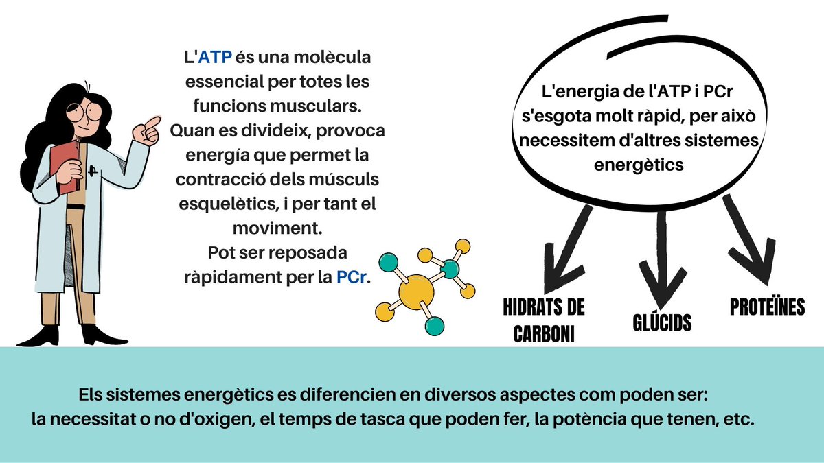 paulamarinuib's tweet photo. 👀L'obtenció d'energia per al moviment, sabeu d'on l'aconseguim?
Us deix un pòster de creació pròpia aclaridor.
@EFsaludable_UIB #22121_uib https://t.co/n4TscUHdDE