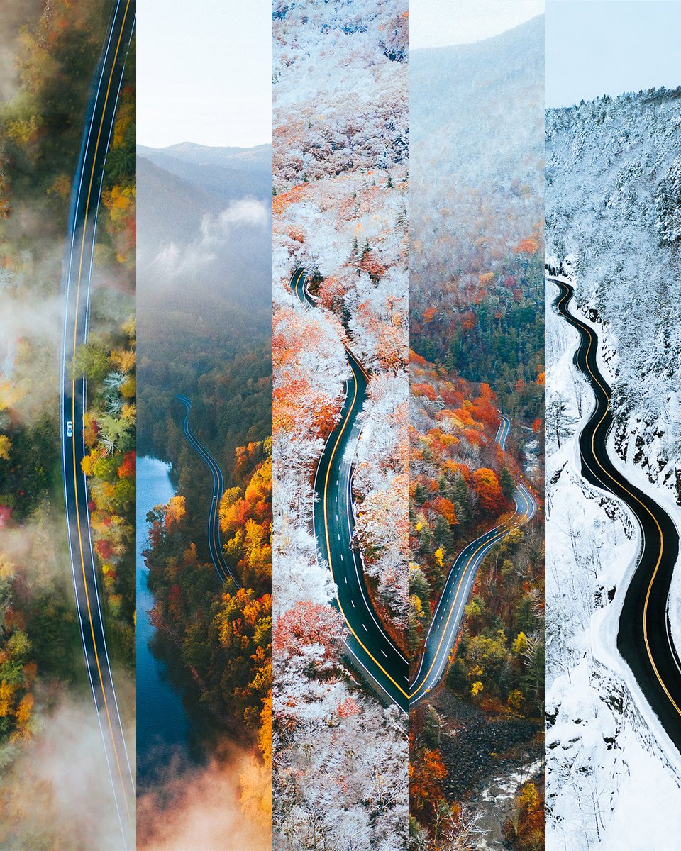 michaeldbliss's tweet photo. autumn fades to winter https://t.co/XOoOUFkpwV