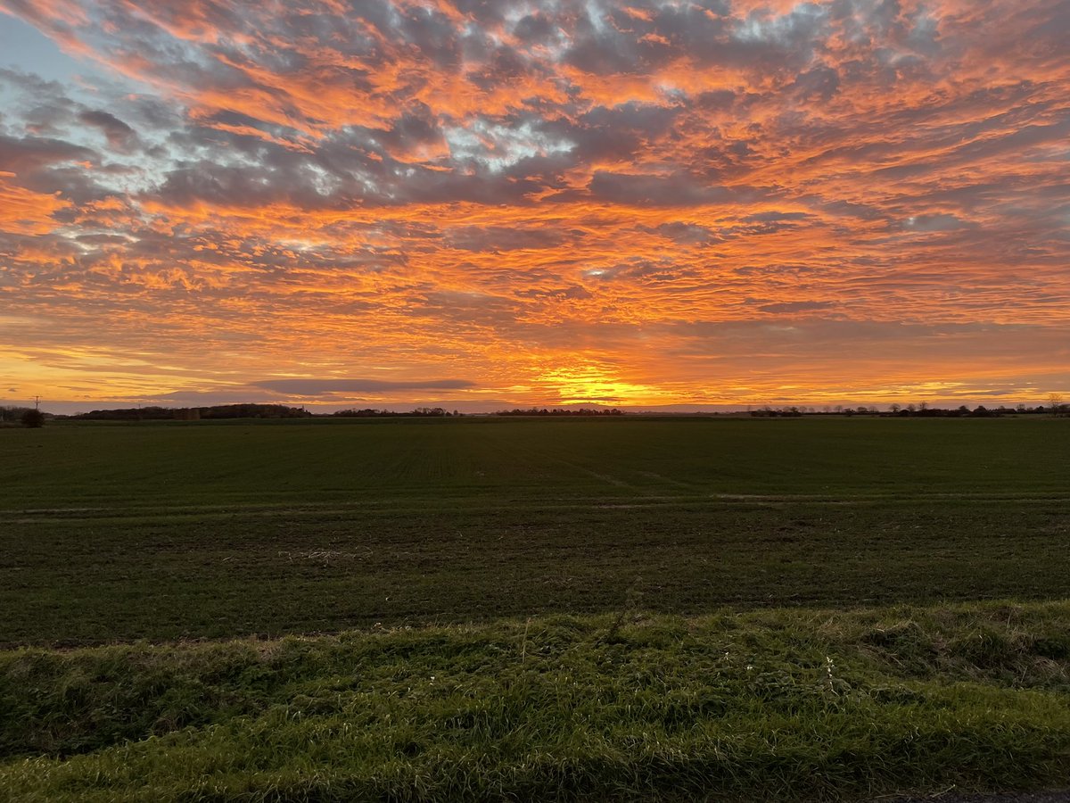 Alex Child tweet media