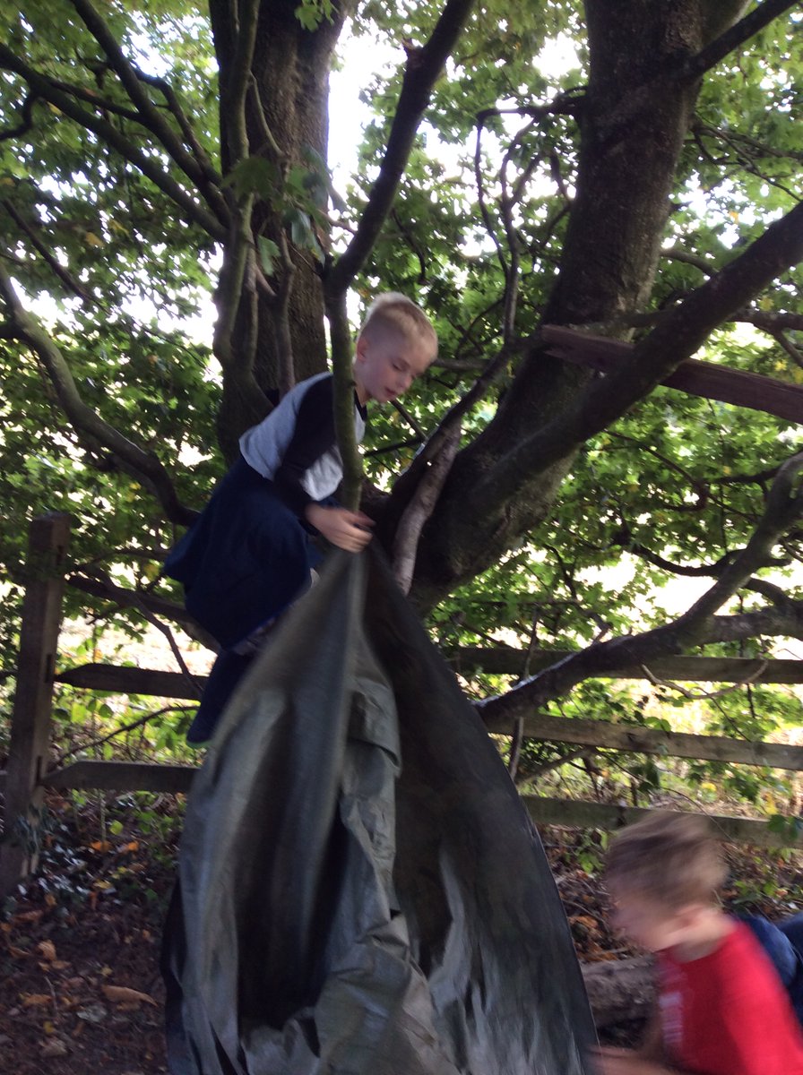 AppleySaintsCE's tweet photo. #ABASY3 #ABASDT #ABASPSHE #ABASSci #ABSASGeog @FriendsPrimary @WN6_Mums
Year 3 - Having fun at Forest School https://t.co/DM1ywZihXz