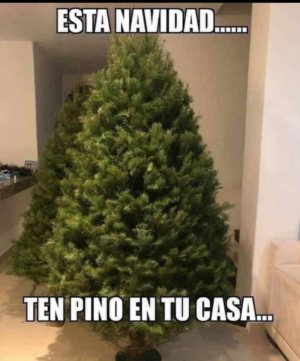 diva_online's tweet photo. Síganme para más #DivaTips https://t.co/m35xZqcVMP