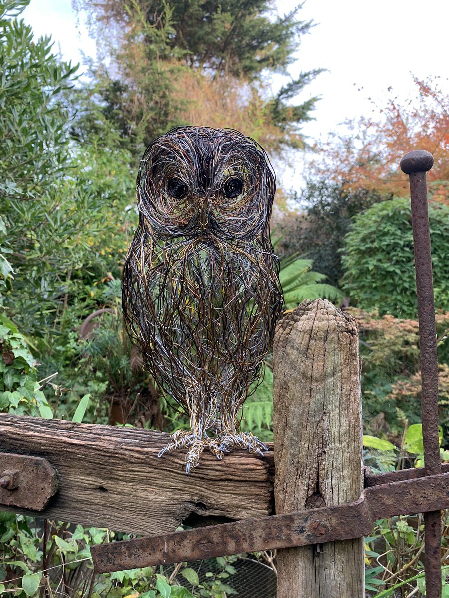 Just finished the “Tawny Owl” freehand Wire Bird Sculpture #owl #tawnyowl #birdartist #wireartist #wirebirdsculpture #birdart #suffolk #artlover #birdlover #rspb #swt