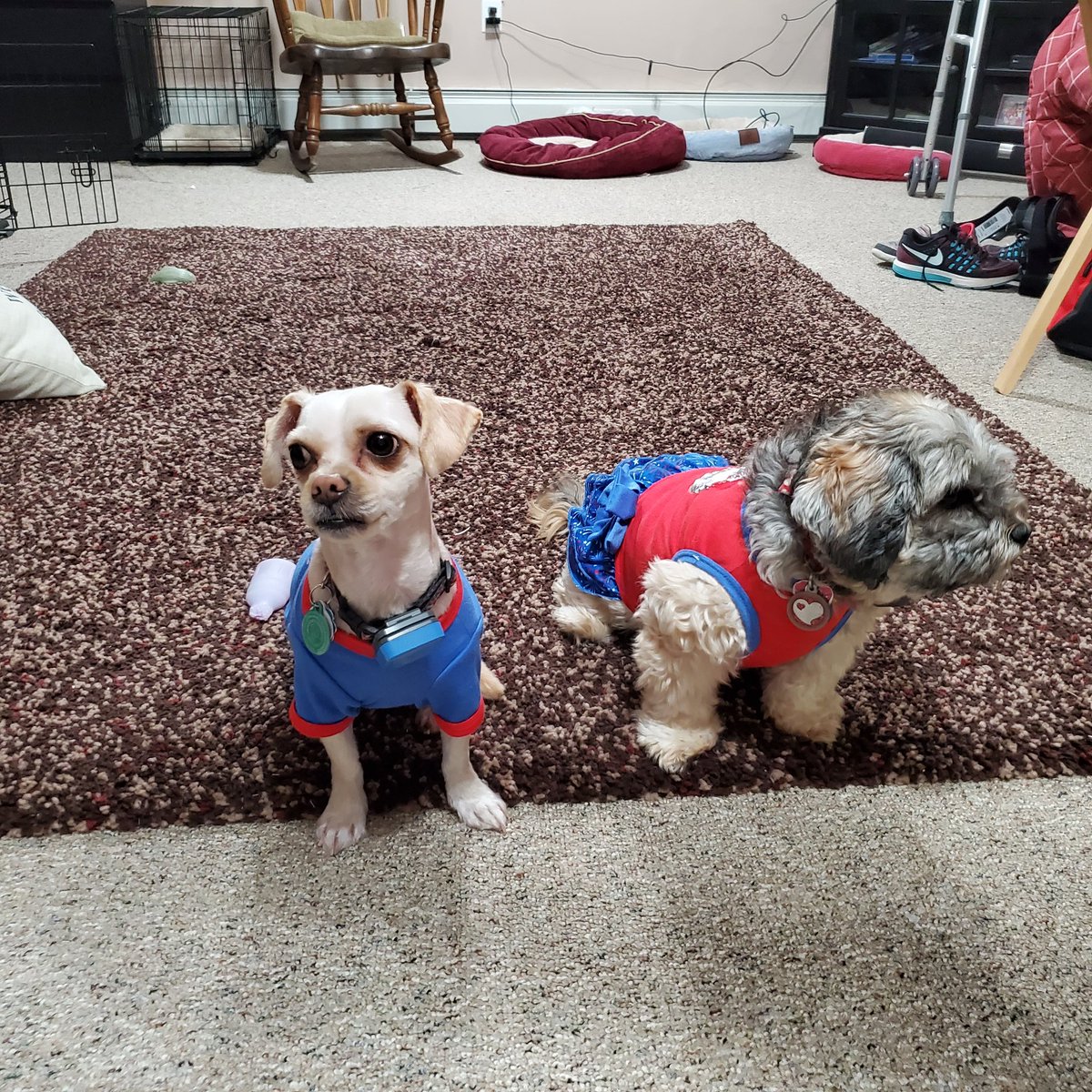 cheechtrish's tweet photo. @DisneyFoodBlog Lilo on the right abs Stitch on the left https://t.co/A9oHaCLUBU