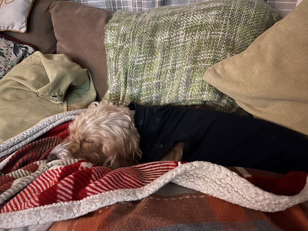 Mental Health & Wellbeing Support Services tweet media