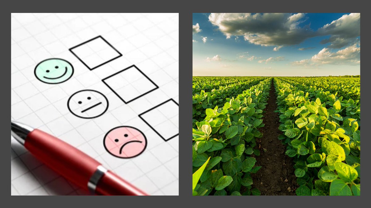 Are you involved in #Soybean production?  If so, you are invited to participate in this survey, as part of a collaborative project to better understand #Glufosinate (Liberty) efficacy for weed management.  Learn more and take the survey here:  bit.ly/2YXMk0W