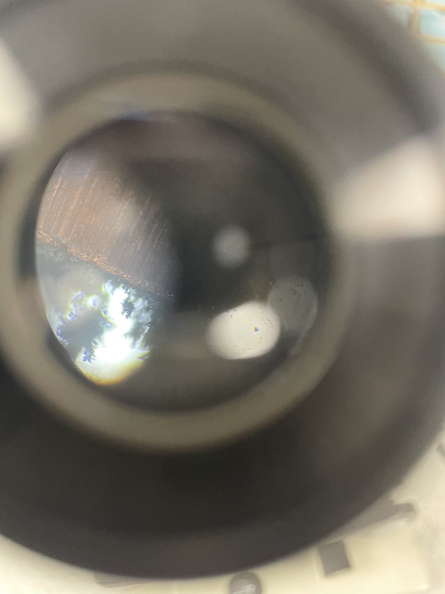 KingsMaccChem's tweet photo. Charlie growing metal crystals under a microscope #displacementreaction https://t.co/J4EnpNclYR