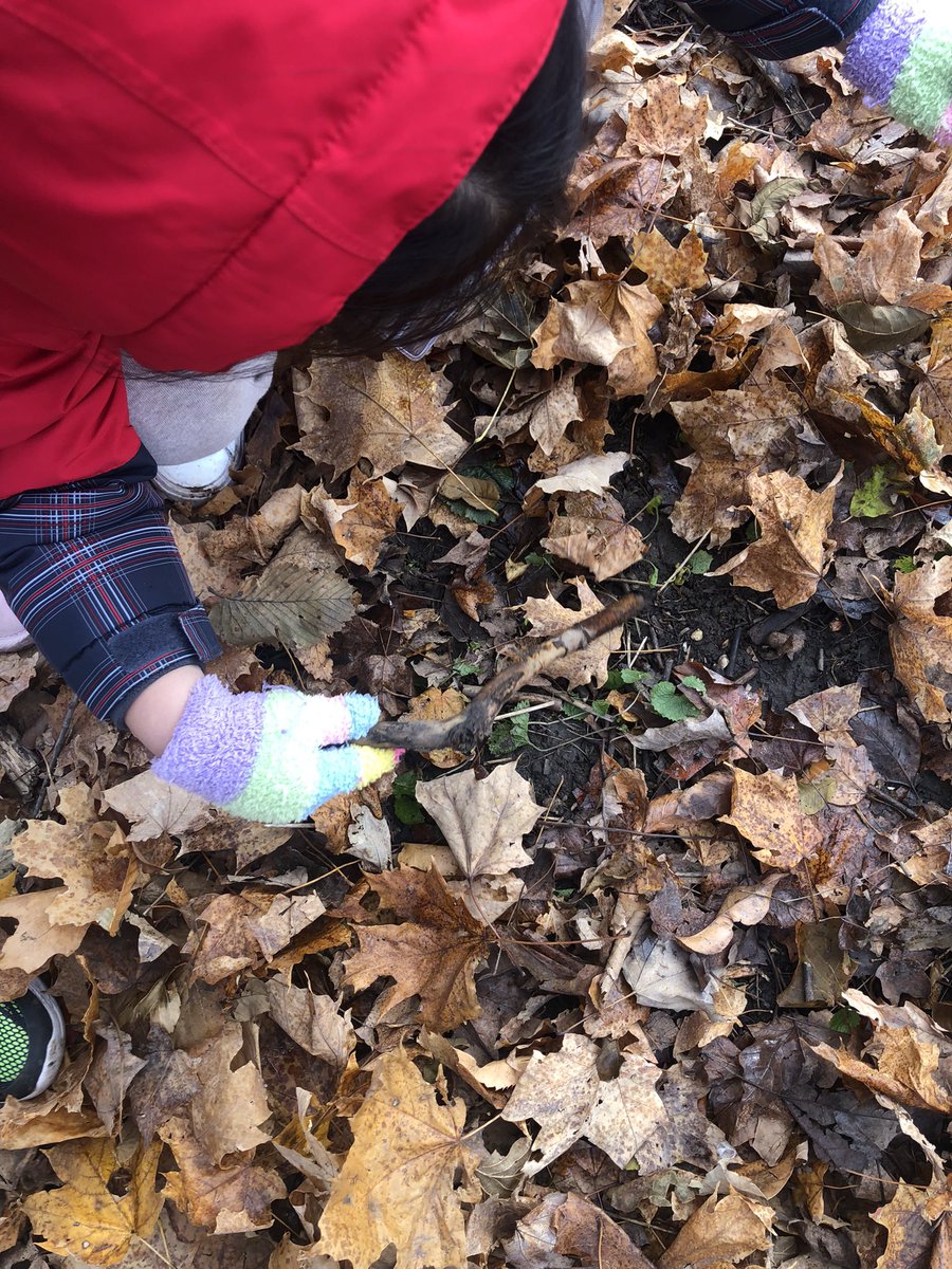 KForestLearning's tweet photo. This group found a slug. They were worried it might be cold without a shell and with the strong breeze so they wanted to put a blanket over it.  They searched and searched and decided to put leaves on the slug because it would be warm and soft.  ❤️ https://t.co/BAP9aCIen4