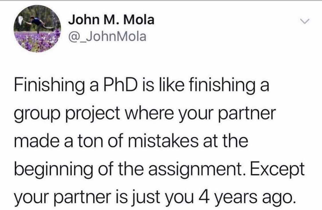 Imogene Cancellare, PhD tweet media