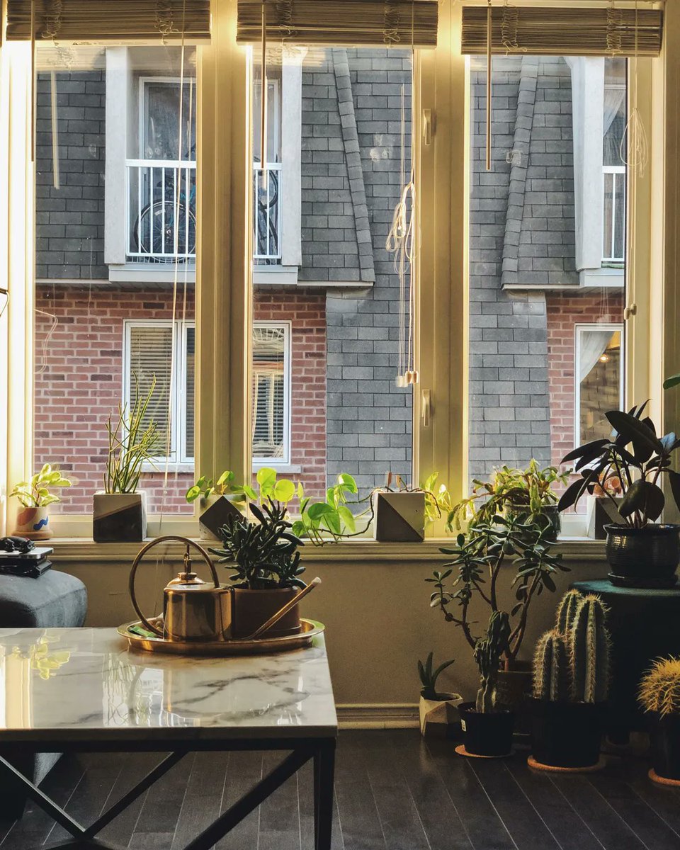 visual_standard's tweet image. “With age, comes wisdom. With travel, comes understanding” 

–Sandra Lake

#homedesignideas #homedecor #homedesign #interiordesign #homedesigns #lifestyle #photooftheday #picoftheday #landscape #explorepage #TheVisualStandard #visualstandard #visualstandardtraveler #VSmag