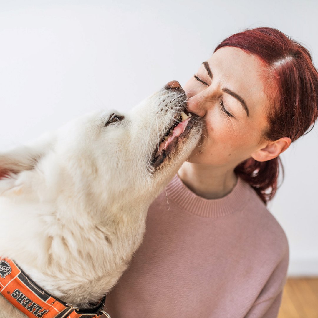 photo_kidd's tweet photo. Julianne shares that her pup 🐕 Hudson anchors her to what matters most in life. 

Our dogs 🐩 are there for us and can keep us grounded. ❤

They can be a form of therapy we may not have known we needed. 🐶📷
#petphotography #adoptdontshop #puppylove #womansbestfriend #instadog https://t.co/OXZpfvl2zo