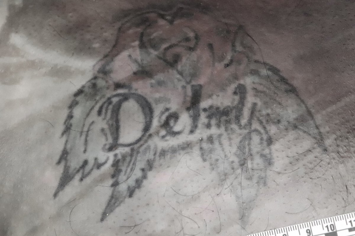 empath4unsolved's tweet photo. *PLEASE SHARE*

Unidentified Remains found on November 16, 2021 in Mission, Texas 

Age- Pre 40
Sex- M
Ethnicity- Hispanic/Latino
Hair- Brown
Height- 5’7”
Weight- 188lbs 
Numerous tattoos 

#Unidentified #MissingPerson #Texas 

https://t.co/4RSsgyHDPE https://t.co/GRZClW9dve