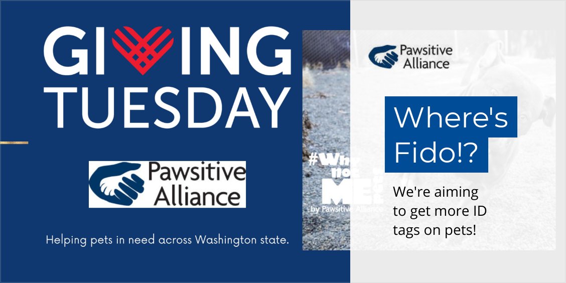 Where's Fido?! - mailchi.mp/pawsitiveallia…