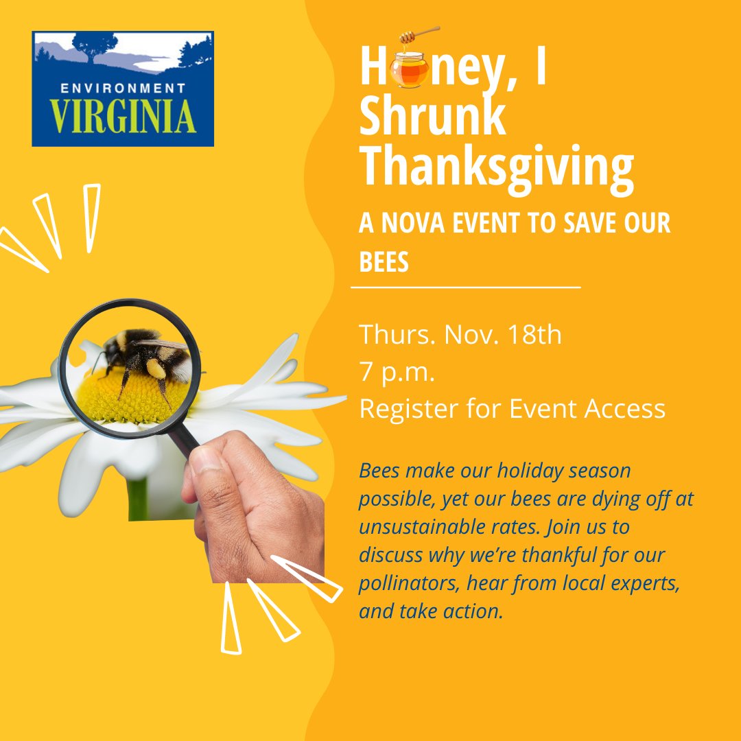 EnvironmentVA's tweet photo. Join us today for our Northern Virginia event: Honey, I Shrunk Thanksgiving! Take action with Environment Virginia to #SaveTheBees and learn about how bees make our Thanksgiving possible. You can register for our event here: https://t.co/hGl5PXgoTA. We hope that you stop on by! https://t.co/PrNmNhzeMu