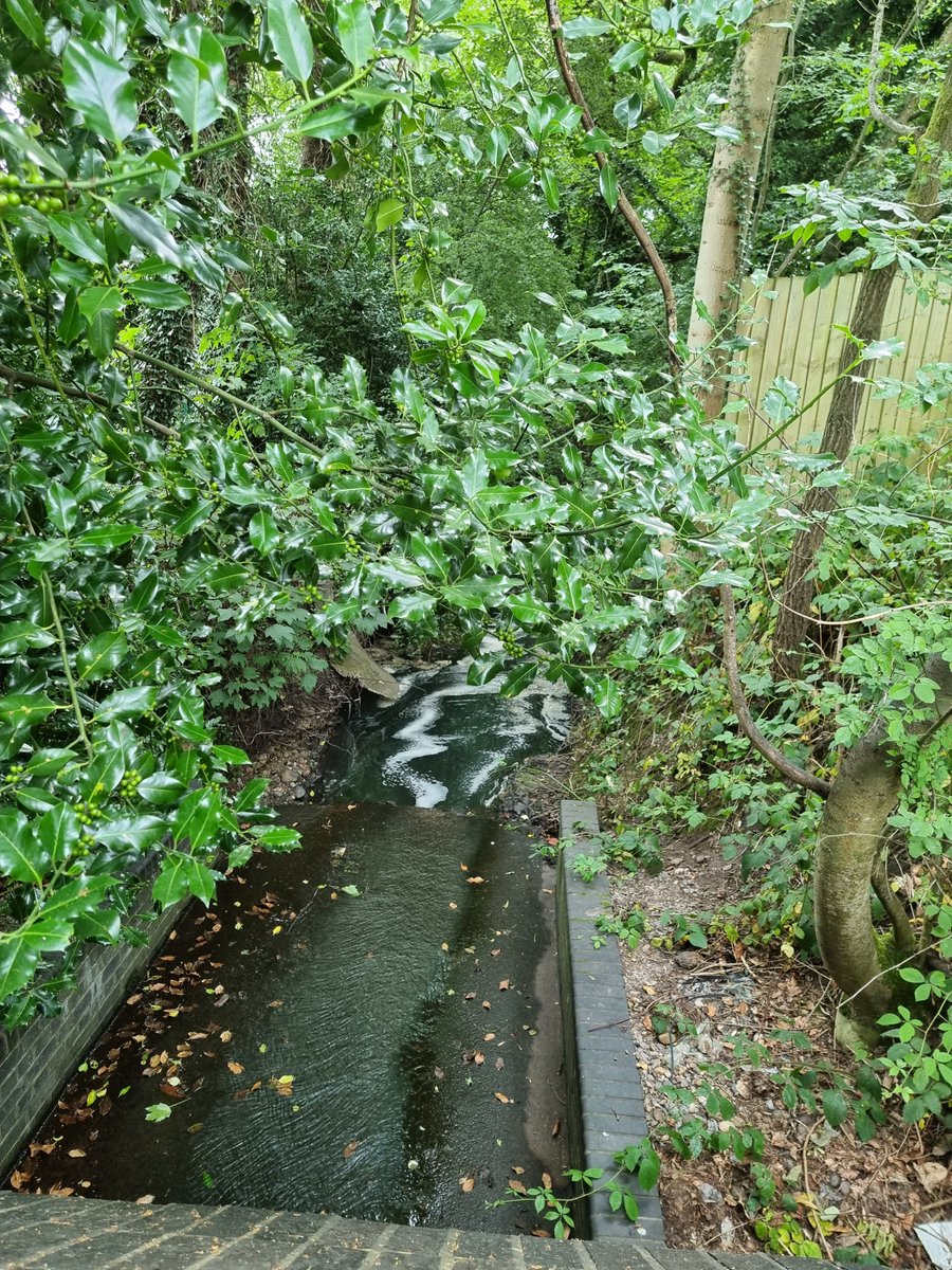 freshwaterflows (@freshwaterflows) on Twitter photo Flagship #PhD #studentship <a href="/CENTA_NERC/">CENTA</a> <a href="/LES_UniBham/">College of Life and Environmental Sciences</a> HIGH FREQUENCY #WATERQUALITY #SENSOR #NETWORKS Closing date for applications *** 7 January *** <a href="/stefankrauseh2o/">Stefan Krause</a> <a href="/KieranKhamis/">kieran khamis</a> #rivers #urban #rural Flagship #PhD #studentship <a href="/CENTA_NERC/">CENTA</a> <a href="/LES_UniBham/">College of Life and Environmental Sciences</a> HIGH FREQUENCY #WATERQUALITY #SENSOR #NETWORKS Closing date for applications *** 7 January *** <a href="/stefankrauseh2o/">Stefan Krause</a> <a href="/KieranKhamis/">kieran khamis</a> #rivers #urban #rural