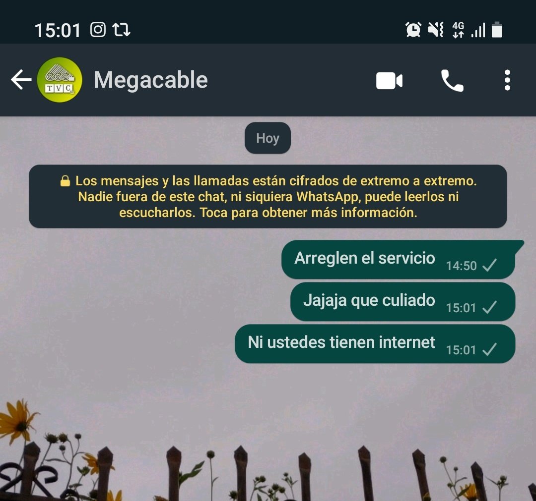Y si..