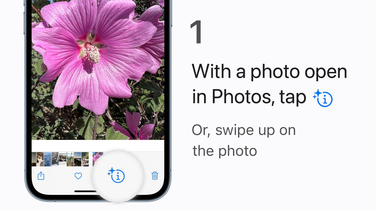 Apple Support tweet media