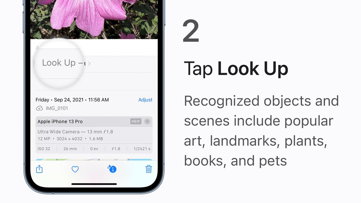 Apple Support tweet media