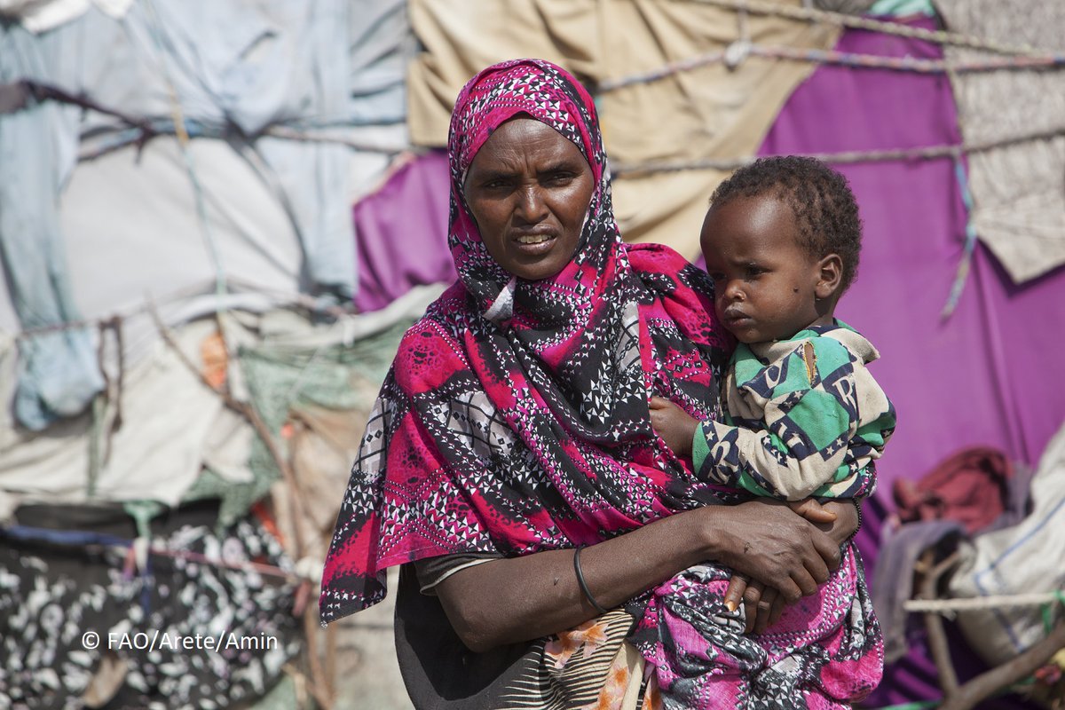 FAOSomalia's tweet photo. The drought in #Somalia is extremely worrying.

@FAOSWALIM says more than 80% of the country is experiencing severe #drought conditions following a third consecutive failed rainy season. Conditions are also expected to worsen in late 2021 &amp; 2022.

Update➡️ https://t.co/wJI3JdsE6n https://t.co/kCsZSoS0iC