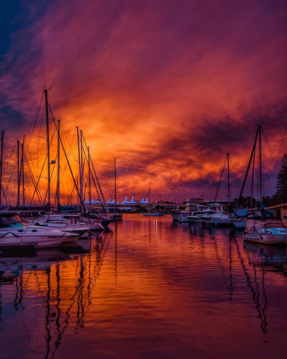 Daniella_C1804's tweet image. Good evening 🧡💜