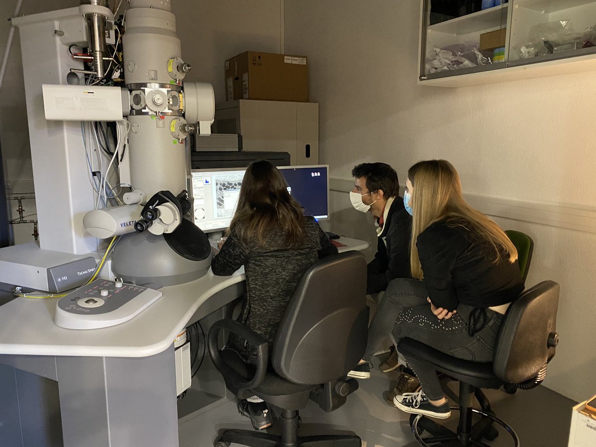 drtranfield's tweet photo. There is nothing I love more than a lab full of happy people!! What a fun day @IGCiencia with the #igcemf team. https://t.co/xKOZ0mcMhv