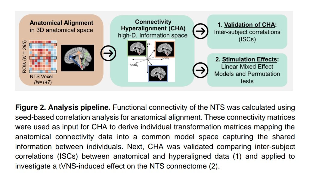 Corinna Schulz tweet media