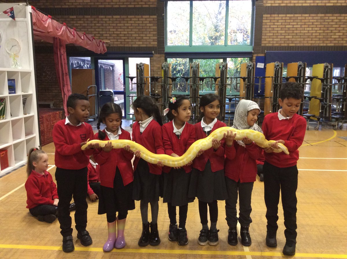 PillYear2's tweet photo. Year 2 had some very special visitors this week! The children really enjoyed handling the snakes, tortoise, tarantulas and lots more. They even met White Fang the fox! #AnimalsInteractive Here are some pictures from 2JF.... https://t.co/Mum4vH5fom