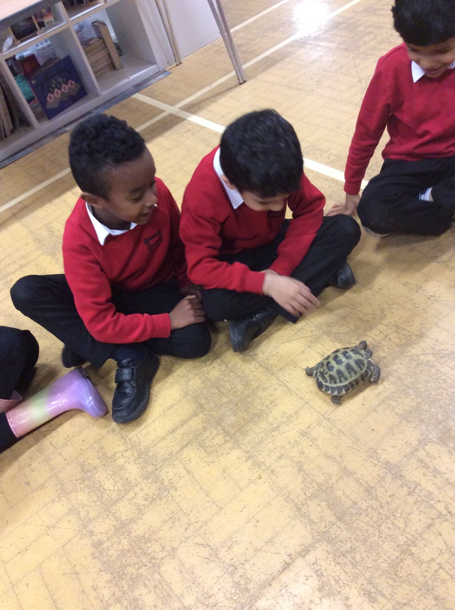 PillYear2's tweet photo. Year 2 had some very special visitors this week! The children really enjoyed handling the snakes, tortoise, tarantulas and lots more. They even met White Fang the fox! #AnimalsInteractive Here are some pictures from 2JF.... https://t.co/Mum4vH5fom