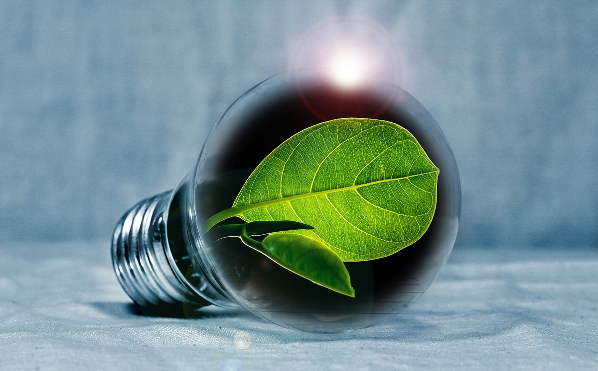 Northwest Advanced Bio-Fuels, LLC. tweet media