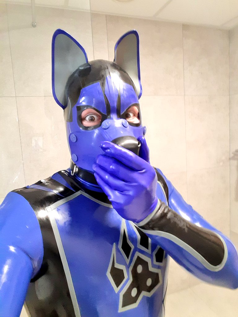 Robin_P_Renard tweet media