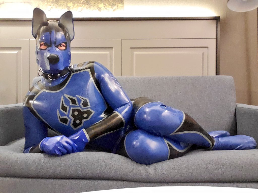 Robin_P_Renard tweet media