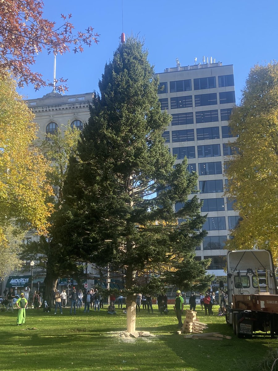 StephenPass's tweet image. My favorite time of the year…… and it’s 67 degrees! @BostonParksDept #Boston 🎅 🎄