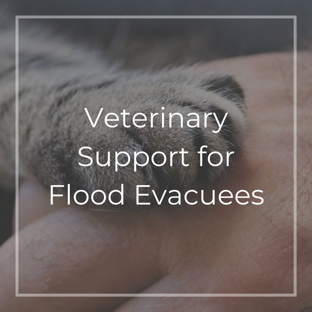 Vancouver Humane Society tweet media