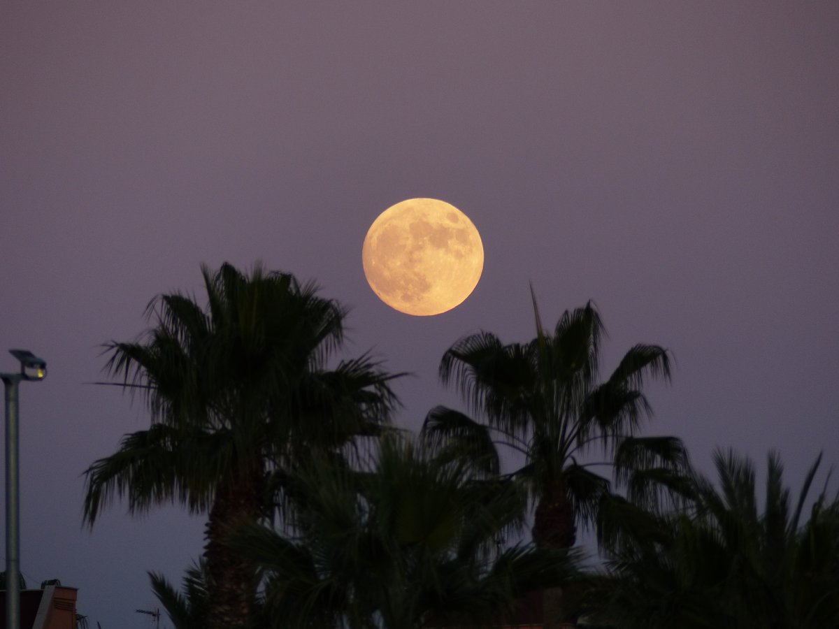Calafellvalo's tweet photo. Aquesta vesprada , posta de sol sortida lluna i alineació planetes . Sol , luna i planetas . éste anochecer .
#eltempstv3 #eltemps #Cubelles #calafellvalo #sun #luna #moon @aemet @estelsiplanetes #miremelcel #ocaso @tiempobrasero @parcastroprades #ieec #tomasmolinab https://t.co/PuYdx6f31L