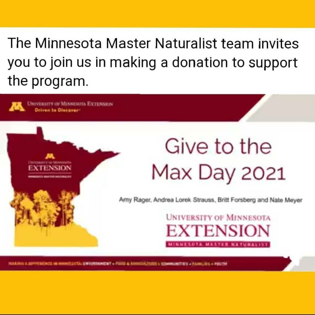 QtrAcreGalGwen's tweet photo. 💰Give to the Max Day 2021💰A recipient of a UMN Master Naturalist scholarship, I know being one ISN'T just about Nerding Out on green things! 💁‍♀️PLEASE, GIVE GENEROUSLY to them; tech &amp; communication skills taught benefit MANY industries &amp; social realms! @MNMasterNat #naturalist https://t.co/j3an2FnAOi