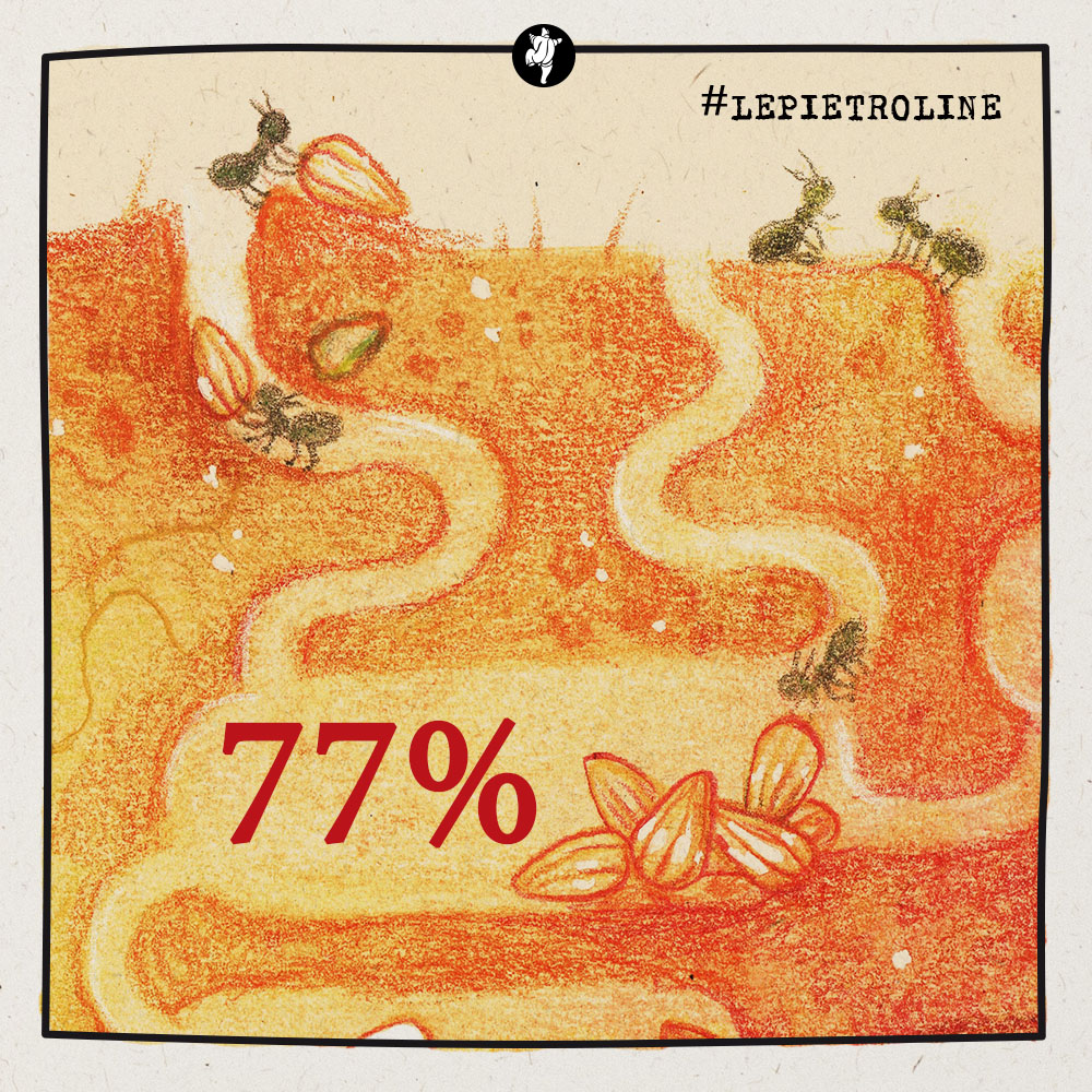 PietreVive's tweet photo. Siamo al 77% del crowdfunding! Continuate a supportare #LePietroline qui: 
https://t.co/EkG6NVnrIG https://t.co/bKJ1MfbQSG