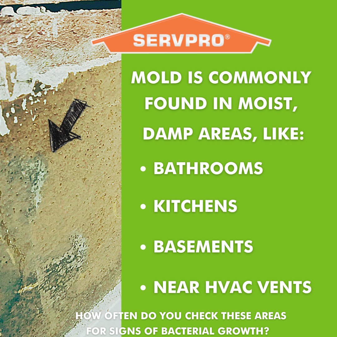 Small signs can be quite revealing. If you notice discoloration, odors, or deterioration be proactive to prevent significant damage. Have you checked these areas for water damage or bacterial growth? Consider contacting our expert team! We'll inspect, assess, and quote for free!