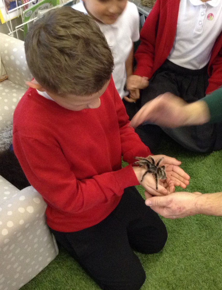 PillYear2's tweet photo. Da iawn blwyddyn 2! #AnimalsInteractive https://t.co/mWmsegKPoy
